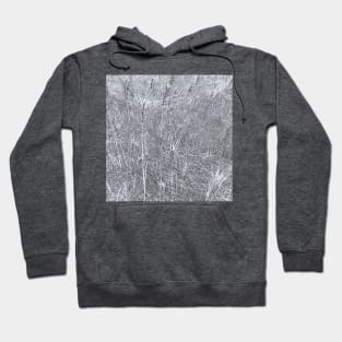 Wild wheat pencil sketch Hoodie